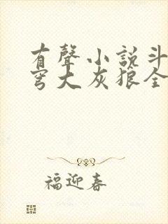 有声小说斗破苍穹大灰狼全集免费听