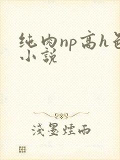 纯肉np高h色小说