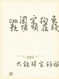 sm固定拘束调教视频在线观看封面