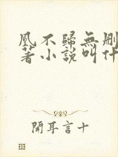 凰不归无删减原著小说叫什么名字