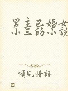男主已婚女主是小三的小说封面