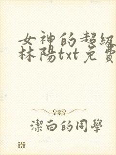 女神的超级赘婿林阳txt免费下载封面