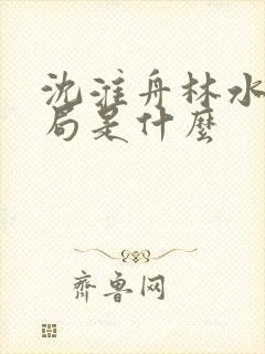 沈淮舟林水伊结局是什么封面