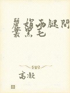 丽娟两腿间一大丛黑毛封面