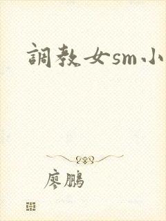 调教女sm小说封面