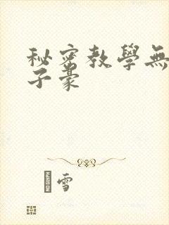 秘密教学无删减子豪封面