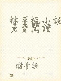 林蔓栀小说全文免费阅读封面