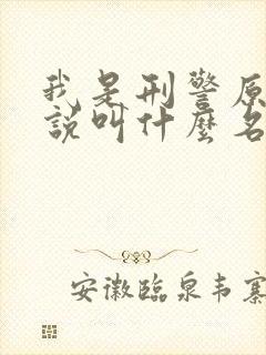 我是刑警原著小说叫什么名字