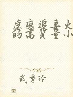 虐恋追妻火葬场的高质量小说