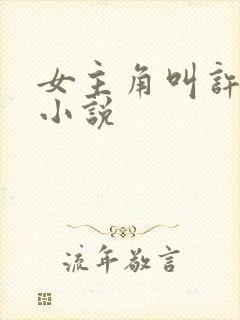 女主角叫许沁的小说封面