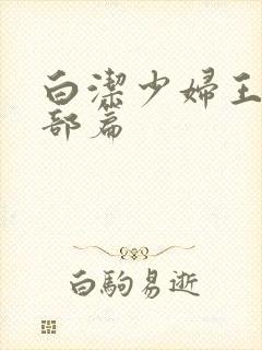 白洁少妇王乙全部篇封面