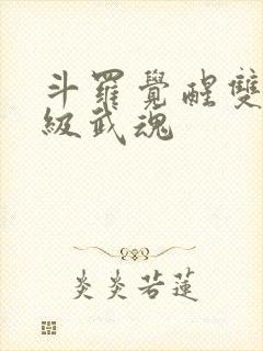 斗罗觉醒双生神级武魂
