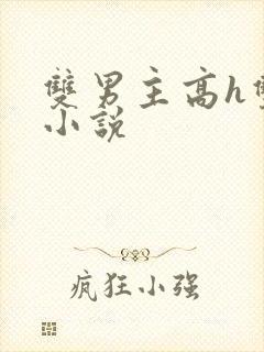 双男主高h双性小说