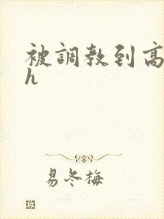 被调教到高潮高h