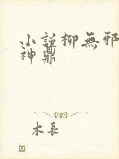 小说柳无邪吞天神鼎