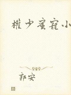 权少蜜宠小娇妻封面