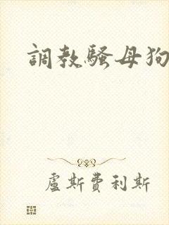 调教骚母狗sm