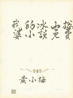 我的冰山总裁老婆小说免费