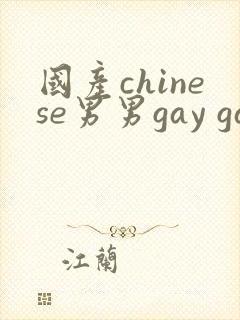 国产chinese男男gay gay网站