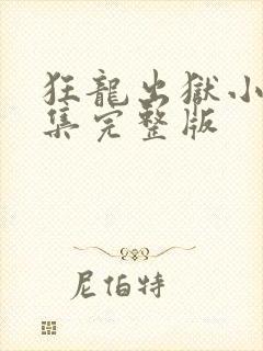 狂龙出狱小说全集完整版封面