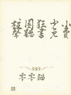 校园狂少小说有声听书免费