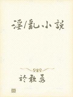 淫/乱小说封面