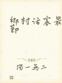 乡村活寡最新章节