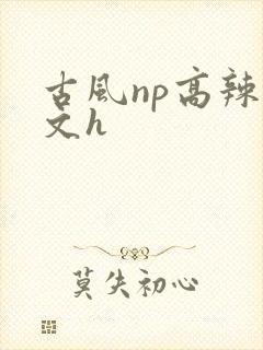 古风np高辣爽文h