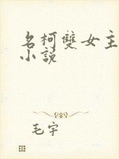 名柯双女主百合小说封面