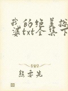 我的绝美总裁老婆txt全集下载