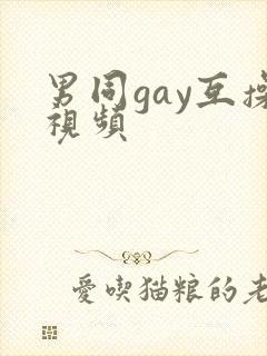男同gay互操视频