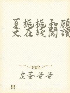 夏栀栀和顾绝全文在线阅读封面