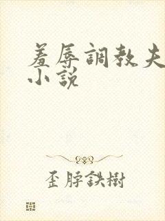 羞辱调教夫妻奴小说封面