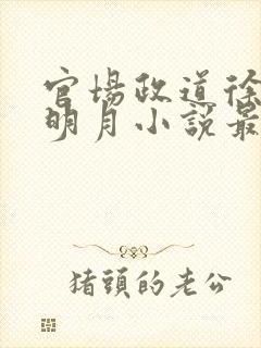 官场政道徐浪秋明月小说最新章节免费阅读