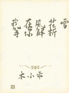 我在风花雪月里等你解析