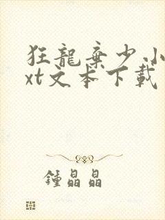 狂龙弃少小说txt文本下载