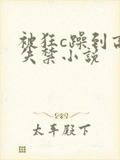 被狂c躁到高潮失禁小说