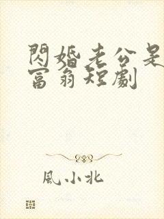 闪婚老公是亿万富翁短剧