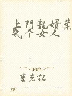 上门龙婿叶辰有几个女人