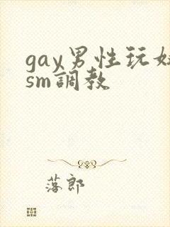 gay男性玩奴sm调教