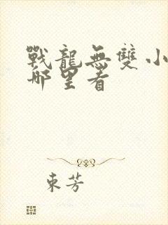 战龙无双小说在哪里看封面