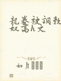 龙卷被调教成肉奴高h文封面