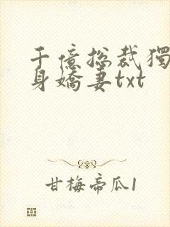 千亿总裁独宠替身娇妻txt
