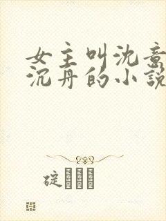 女主叫沈意欢陆沉舟的小说