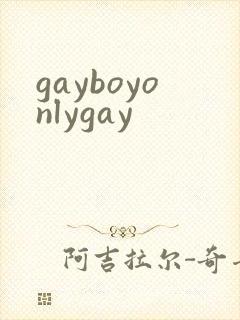 gayboyonlygay封面