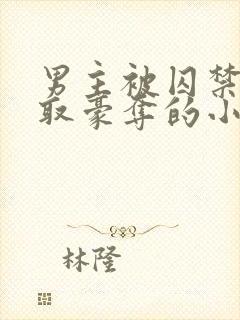 男主被囚禁被强取豪夺的小说封面