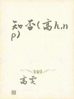 知否(高h,np)