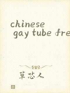 chinese gay tube free