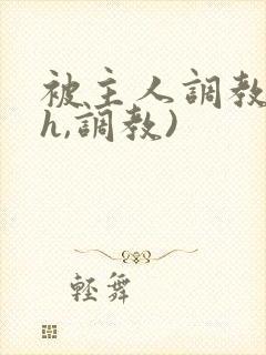 被主人调教(高h,调教)