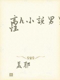 高h小说男男双性